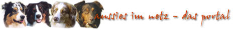 banner Aussies im Netz