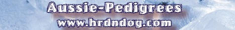banner aussie pedigrees