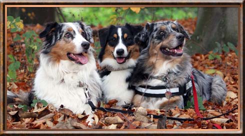 Cheyenne, Mailin und Alisha