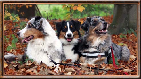 Cheyenne, Mailin und Alisha